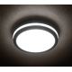 LED Zunanja stropna svetilka BENO LED/24W/230V IP54 antracit