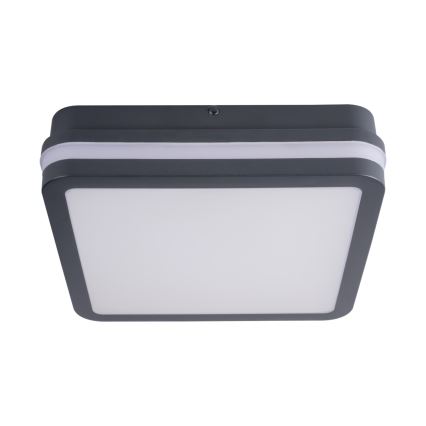 LED Zunanja svetilka BENO LED/24W/230V 4000K antracit IP54