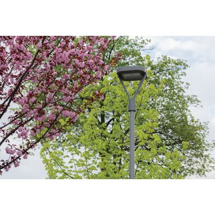 LED Ulična svetilka PARCOLI LED/30/40/50W/230V 3000/4000/6500K IP66 siva