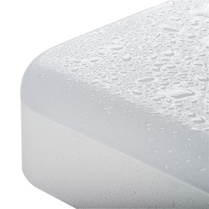 LED Industrijska stropna svetilka IPER LED/10W/230V IK10 IP65 kvadraten bela