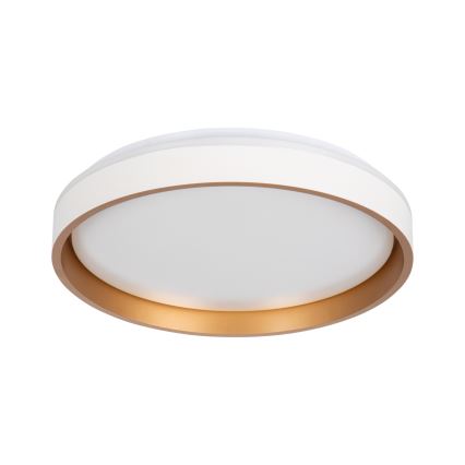 LED Stropna svetilka SOLN LED/17,5W/230V pr. 38 cm bela/zlata