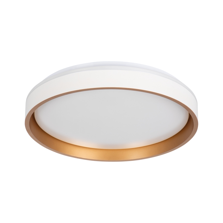 LED Stropna svetilka SOLN LED/17,5W/230V pr. 38 cm bela/zlata