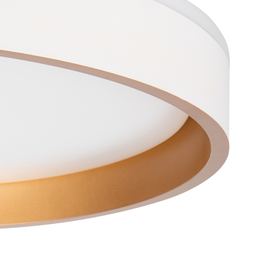 LED Stropna svetilka SOLN LED/17,5W/230V pr. 38 cm bela/zlata