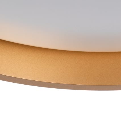 LED Stropna svetilka SOLN LED/17,5W/230V pr. 38 cm bela/zlata