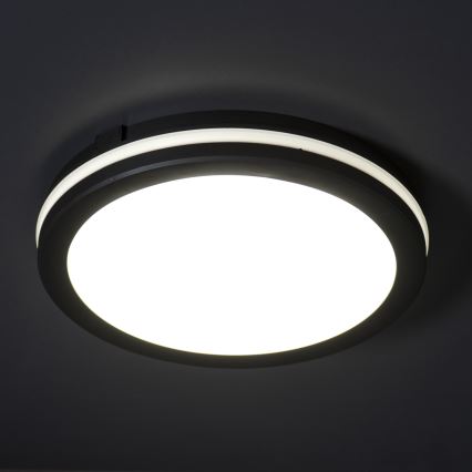 LED Zunanja stropna svetilka BENO E LED/12W/230V 3000/4000/6500K pr. 20 cm IP65 črna