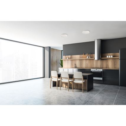 LED Zunanja stropna svetilka BENO E LED/20W/230V 3000/4000/6500K pr. 20 cm IP65 bela