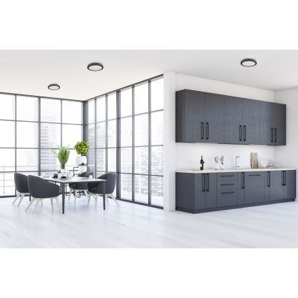 LED Zunanja stropna svetilka BENO E LED/30W/230V 3000/4000/6500K pr. 30 cm IP65 črna
