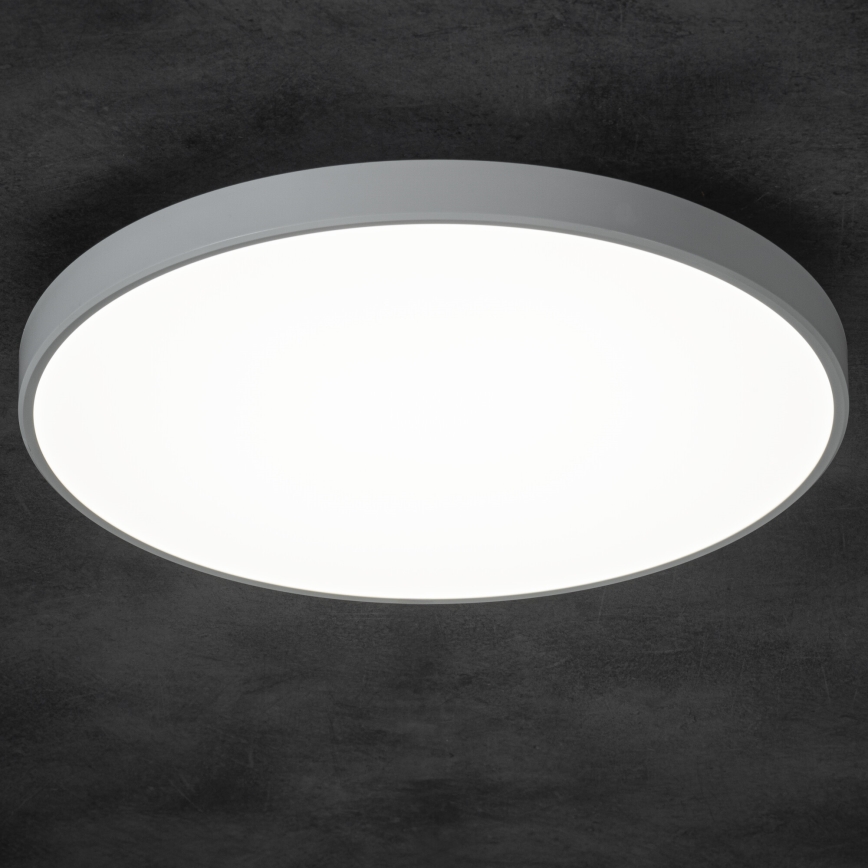 LED Zatemnitvena stropna svetilka PLAFON LED/20W/230V 3000-6500K Wi-Fi bela