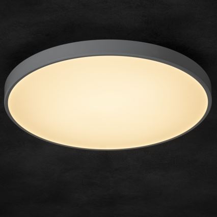 LED Zatemnitvena stropna svetilka PLAFON LED/20W/230V 3000-6500K Wi-Fi bela
