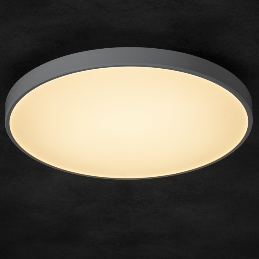 LED Zatemnitvena stropna svetilka PLAFON LED/20W/230V 3000-6500K Wi-Fi bela