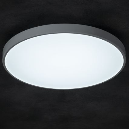 LED Zatemnitvena stropna svetilka PLAFON LED/20W/230V 3000-6500K Wi-Fi bela