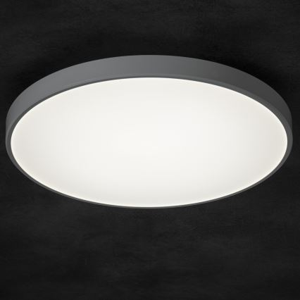 LED Zatemnitvena stropna svetilka PLAFON LED/20W/230V 3000-6500K Wi-Fi bela