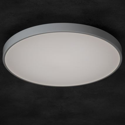 LED Zatemnitvena stropna svetilka PLAFON LED/20W/230V 3000-6500K Wi-Fi bela