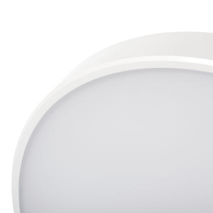 LED Zatemnitvena stropna svetilka PLAFON LED/20W/230V 3000-6500K Wi-Fi bela