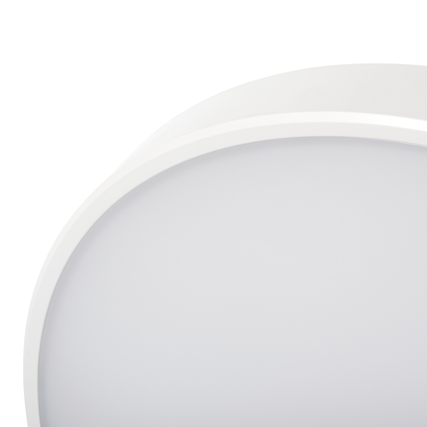 LED Zatemnitvena stropna svetilka PLAFON LED/20W/230V 3000-6500K Wi-Fi bela