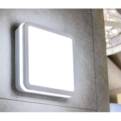 LED Zunanja stropna svetilka s senzorjem gibanja BENO LED/12/18W/230V 3000/3500/4000K IP65 bela kvadraten