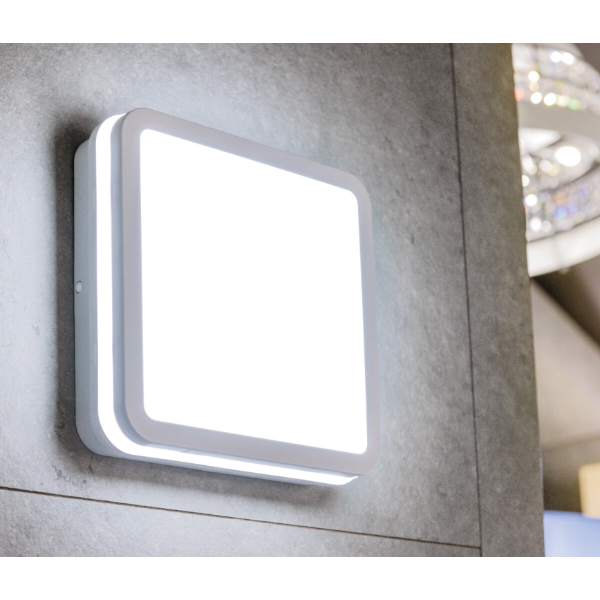 LED Zunanja stropna svetilka s senzorjem gibanja BENO LED/12/18W/230V 3000/3500/4000K IP65 bela kvadraten