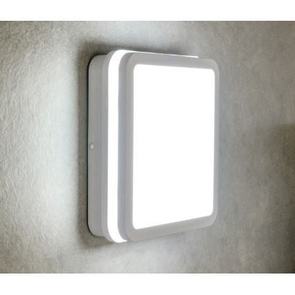 LED Zunanja stropna svetilka s senzorjem gibanja BENO LED/12/18W/230V 3000/3500/4000K IP65 bela kvadraten
