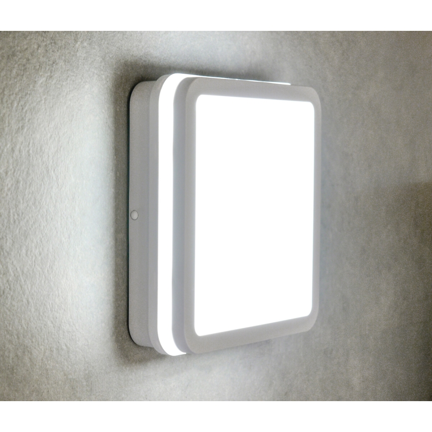LED Zunanja stropna svetilka s senzorjem gibanja BENO LED/12/18W/230V 3000/3500/4000K IP65 bela kvadraten