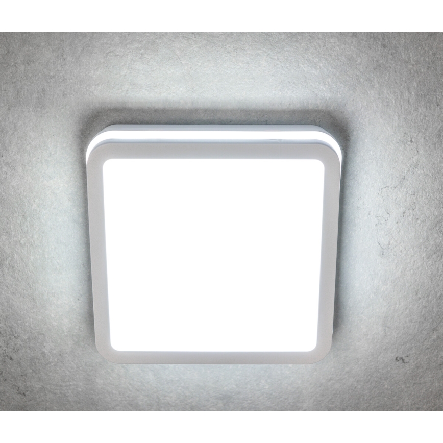 LED Zunanja stropna svetilka s senzorjem gibanja BENO LED/12/18W/230V 3000/3500/4000K IP65 bela kvadraten