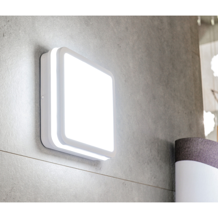 LED Zunanja stropna svetilka s senzorjem gibanja BENO LED/12/18W/230V 3000/3500/4000K IP65 bela kvadraten