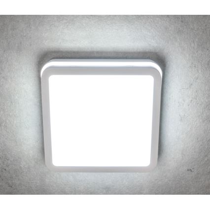 LED Zunanja stropna svetilka BENO LED/12/18W/230V 3000/3500/4000K IP65 bela kvadraten