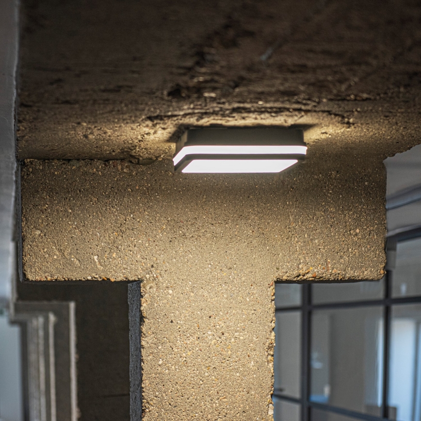 LED Zunanja stropna svetilka BENO LED/12/18W/230V 3000/3500/4000K IP65 antracit kvadraten