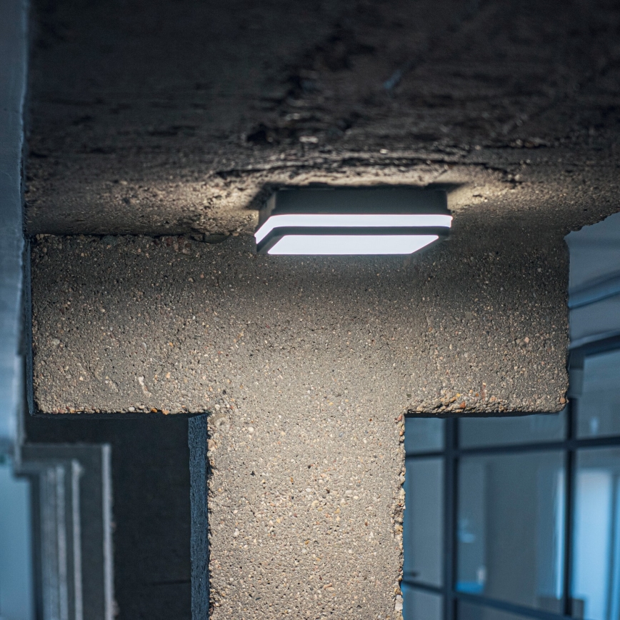 LED Zunanja stropna svetilka s senzorjem gibanja BENO LED/12/18W/230V 3000/3500/4000K IP65 antracit kvadraten