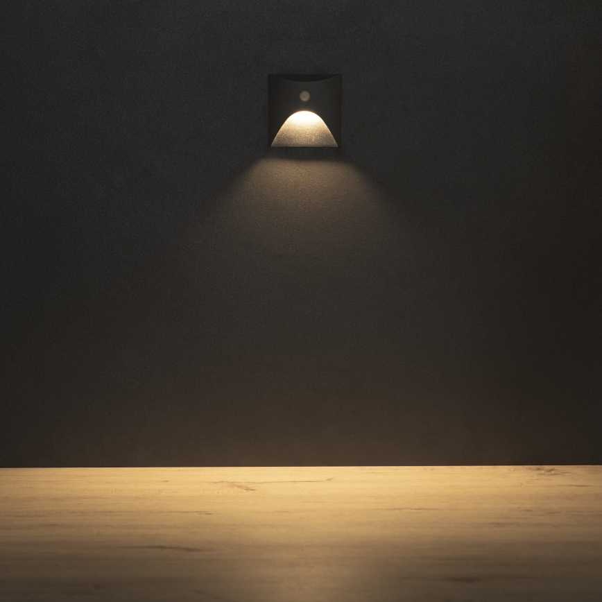 LED stopniščna svetilka s senzorjem gibanja in senzorjem mraka EXIN LED/2,5W/230V 3000K IP65 antracit kvadratna