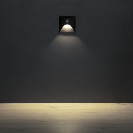 LED stopniščno svetilo z detektorjem gibanja in senzorjem mraka EXIN LED/2,5W/230V 4000K IP65 črno kvadratno