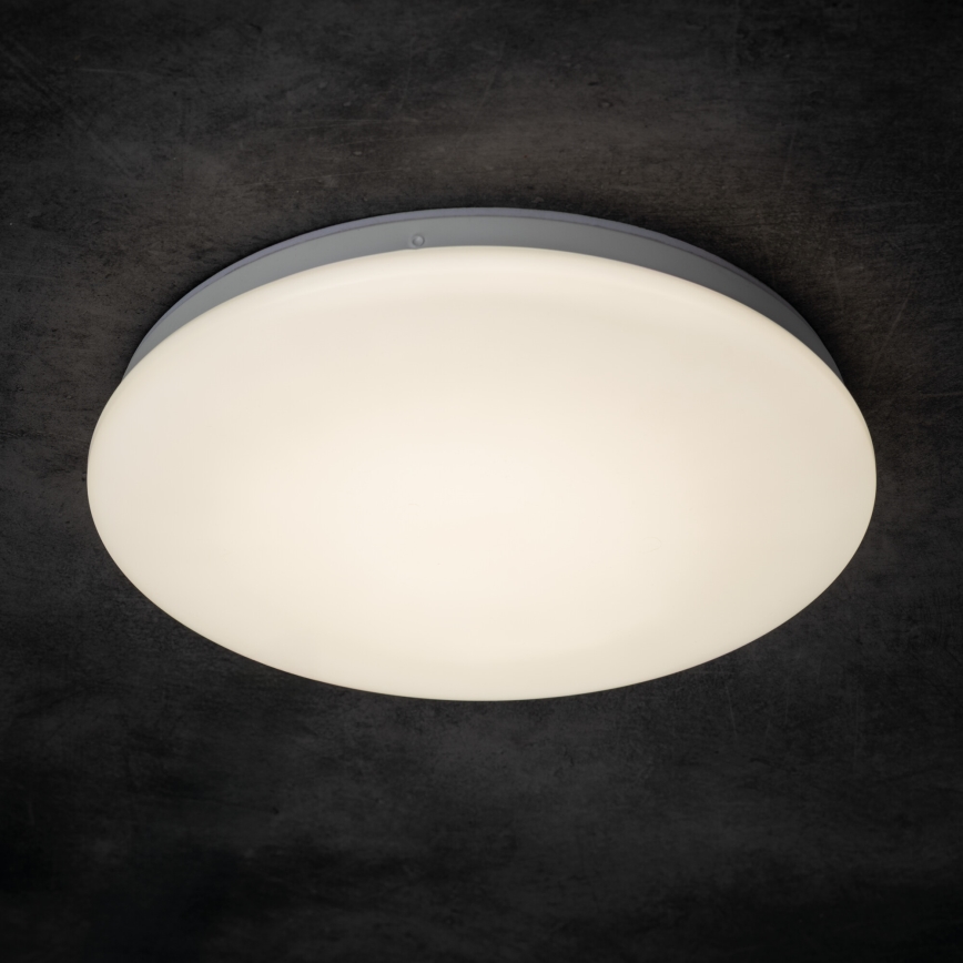 LED stropna svetilka za kopalnico ENELO LED/10W/230V, premer 24 cm, IP44
