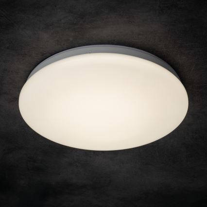 LED stropna svetilka za kopalnico ENELO LED/17W/230V, premer 32 cm, IP44