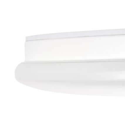 LED stropna svetilka za kopalnico ENELO LED/17W/230V, premer 32 cm, IP44