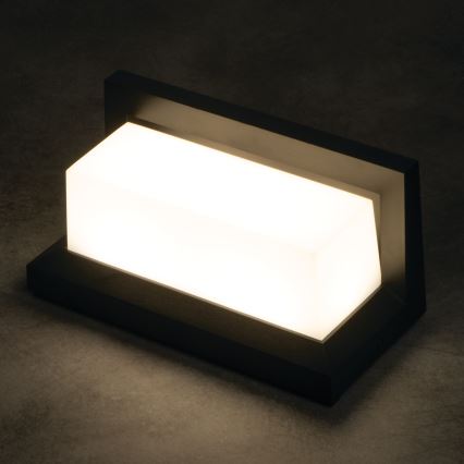 LED zunanja stenska svetilka LERTO LED/12W/230V IP54 črna