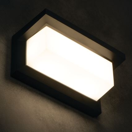 LED zunanja stenska svetilka LERTO LED/12W/230V IP54 črna