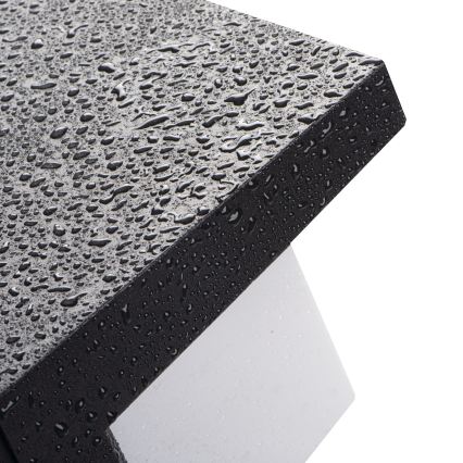 LED zunanja stenska svetilka LERTO LED/12W/230V IP54 črna