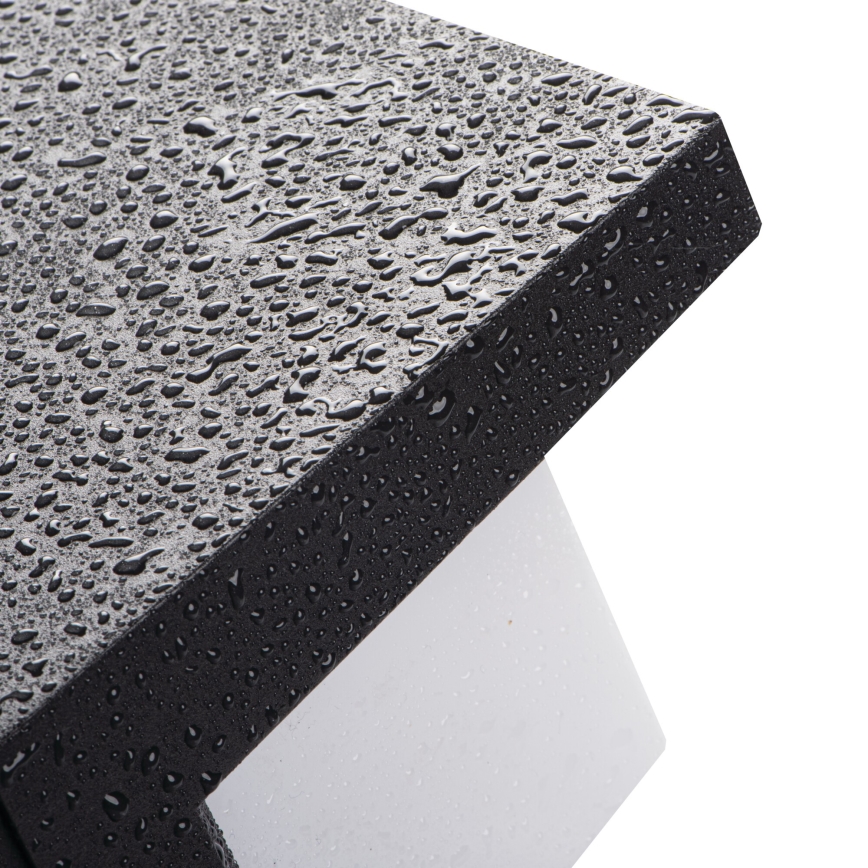 LED zunanja stenska svetilka LERTO LED/12W/230V IP54 črna