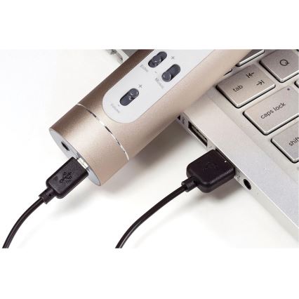 Karaoke mikrofon 6W/5V 1500 mAh Bluetooth v zlati barvi