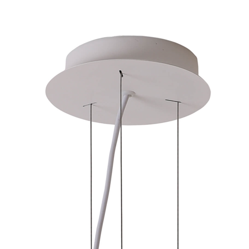 LED Lestenec na vrvici PADDY LED/24W/230V bela