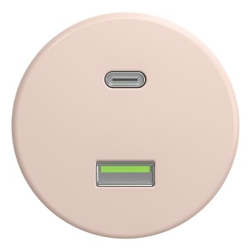 Kliklap - Retro USB vtičnica A+C brez okvirja prašno rožnata