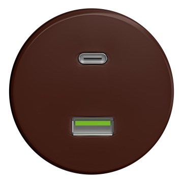 Kliklap - Starinska USB vtičnica A+C rjava