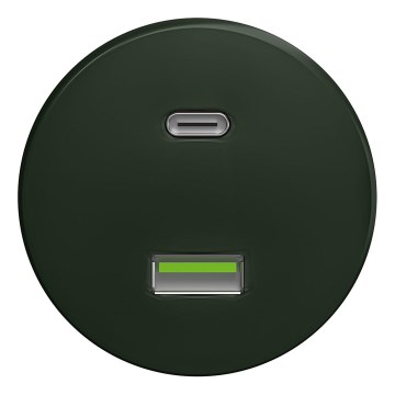 Kliklap - Starinska USB vtičnica A+C zelena