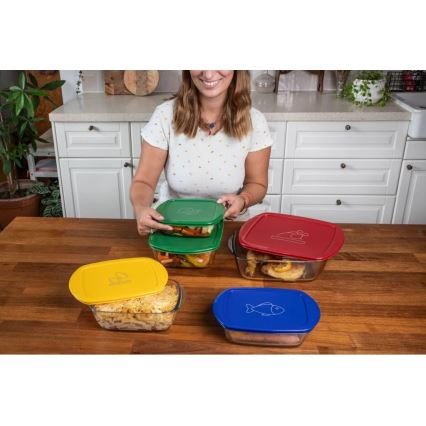Komplet 2 steklenih posod za živila PYREX, 1,2 l in 2,5 l