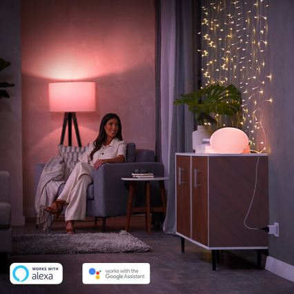 Komplet 2x pametnih vtičnic Philips Hue Smart Plug