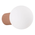 Kopalniška stenska svetilka HALO 1xG9/8W/230V pr. 12 cm IP44 rjava