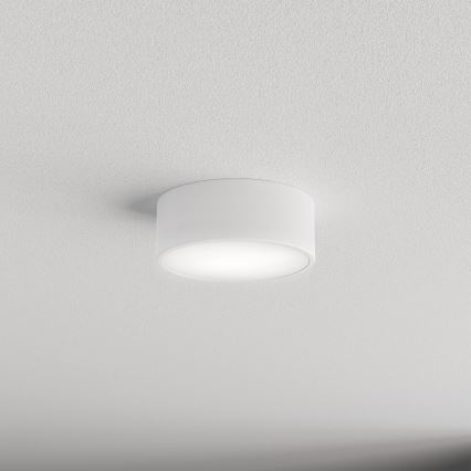 Kopalniška stropna svetilka CLEO 1xE27/24W/230V pr. 20 cm bela IP54