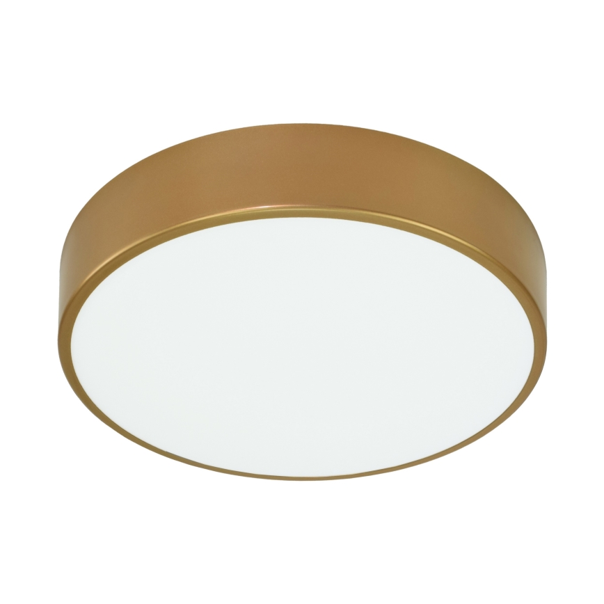 Kopalniška stropna svetilka CLEO 3xE27/24W/230V d. 40 cm gold IP54