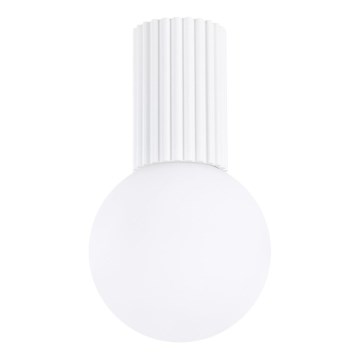 Kopalniška stropna svetilka HALO 1xG9/8W/230V pr. 12 cm IP44 bela