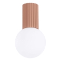 Kopalniška stropna svetilka HALO 1xG9/8W/230V pr. 12 cm IP44 rjava