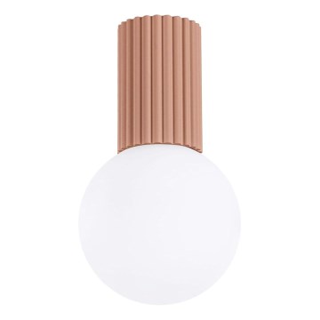 Kopalniška stropna svetilka HALO 1xG9/8W/230V pr. 12 cm IP44 rjava